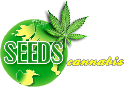 SeedsCannabis - Купить сортовые семена конопли